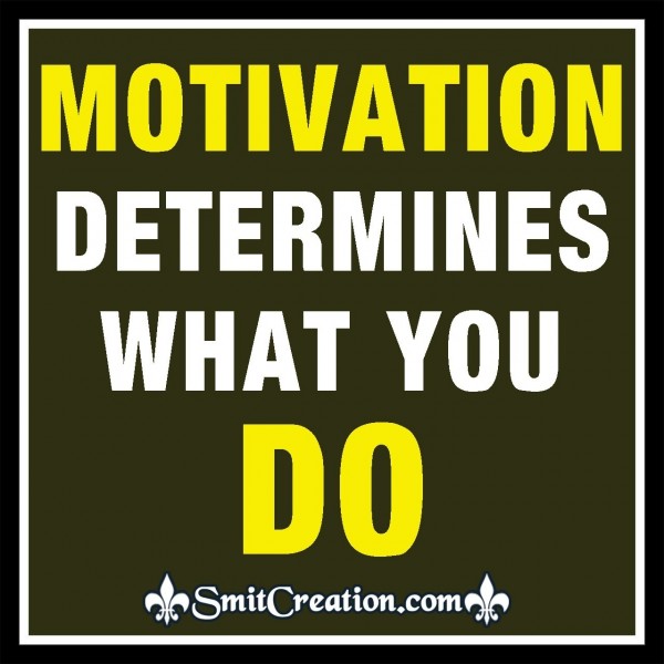 Motivation Determines What You Do