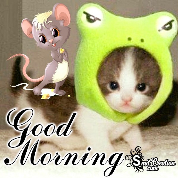 Good Morning Cute Cat