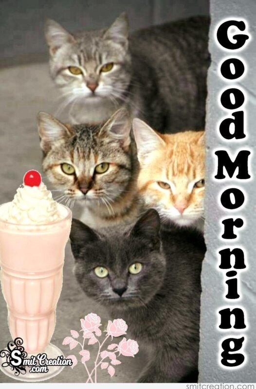 Good Morning Animals Pictures And Graphics Smitcreation Com