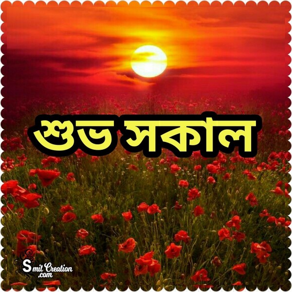 Shuvo Sokal