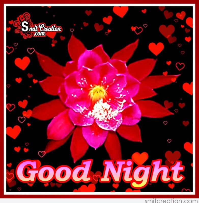 Good Night Beautiful Flower - SmitCreation.com