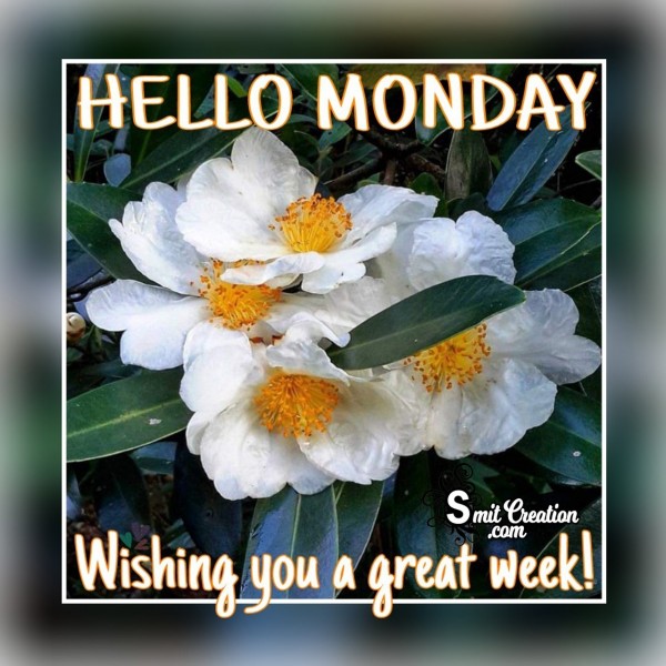 Hello Monday – Wishing You A Great Week