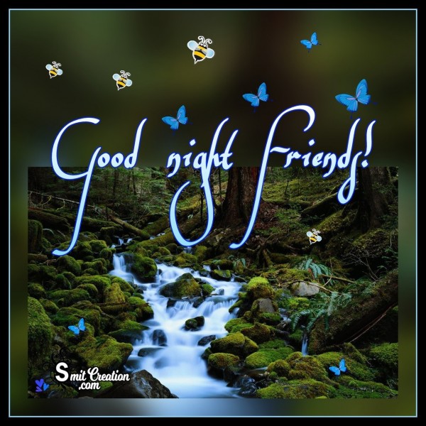 Good Night Friends