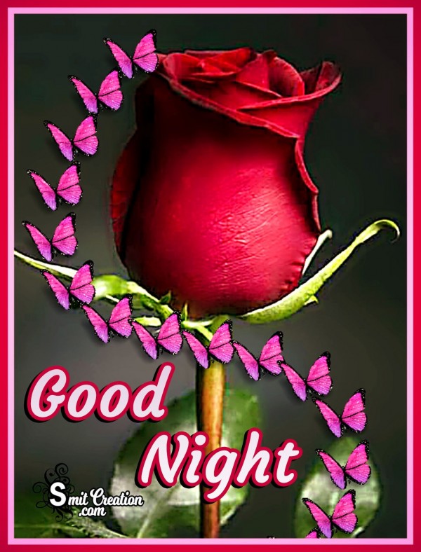 Good Night Flower