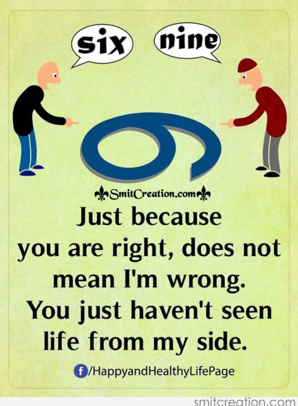 Just Because You Are Right Does Not Mean I'm Wrong Just Because You Are Right Does Not Mean I'm Wrong