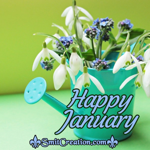 January Month