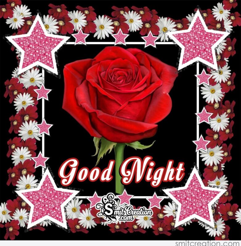 Good Night Rose Flower With Stars 