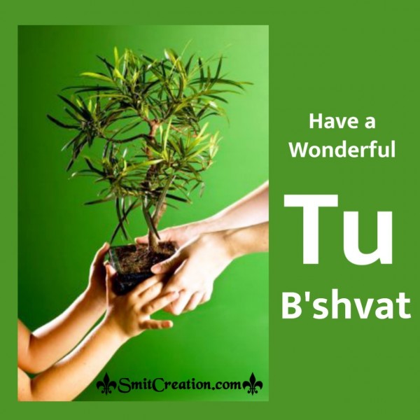 Have A Wonderful Tu Bishvat