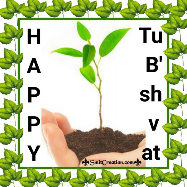 Happy Tu Bishvat