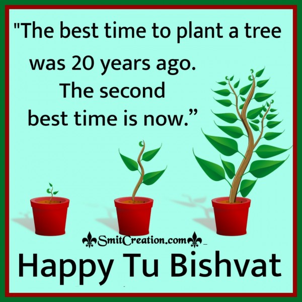 Plant A Tree On Tu Bishvat