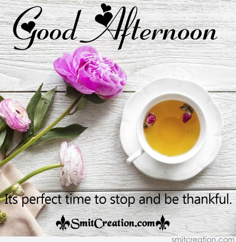Good Afternoon – Its A Perdect Time To Stop And Be Thankful ...