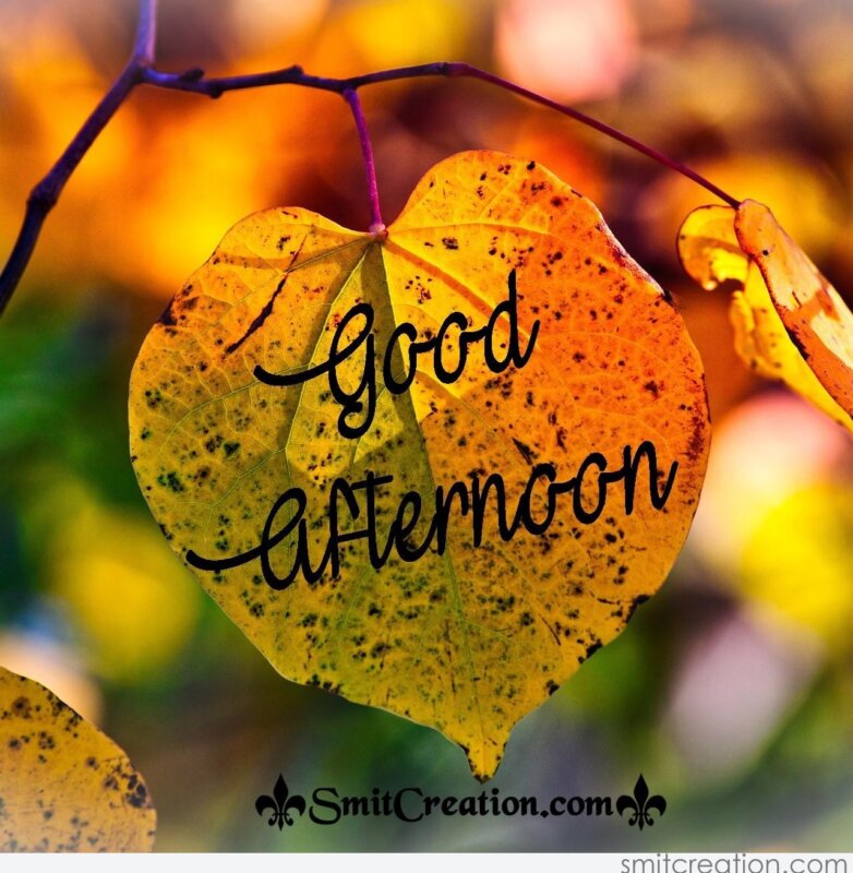 Good Afternoon Leaf Image - SmitCreation.com