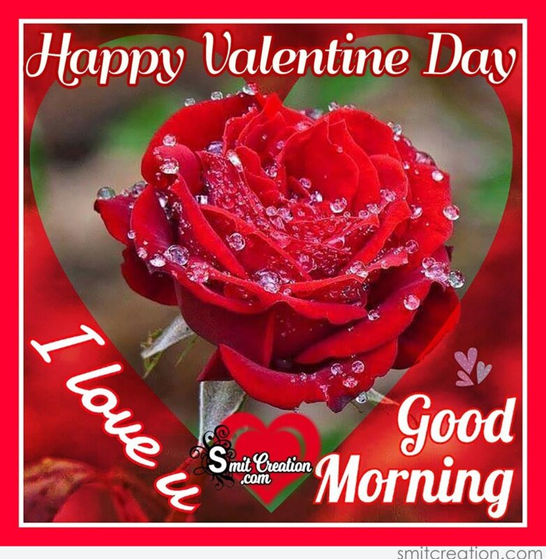 Good Morning Happy Valentine Day Rose - SmitCreation.com