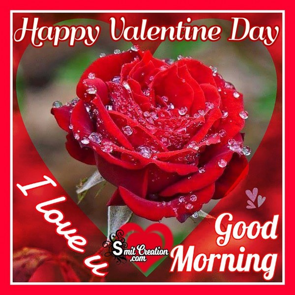 Good Morning Happy Valentine Day Rose