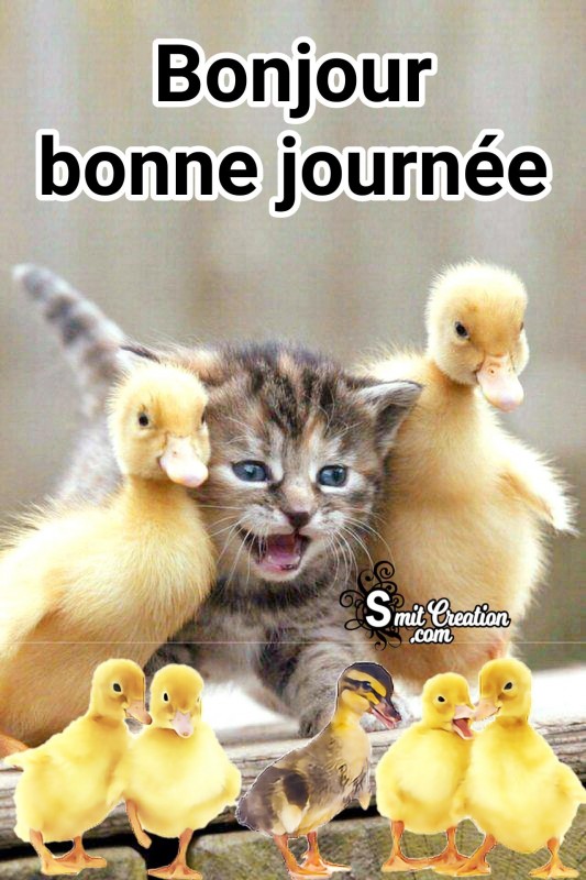 Bonjour Bonne Journee Image