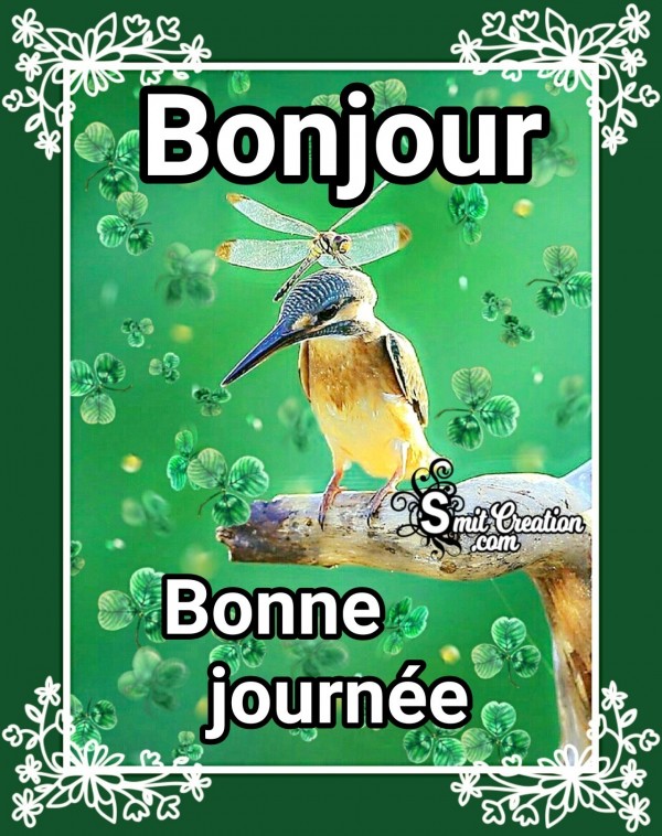 Bonjour 