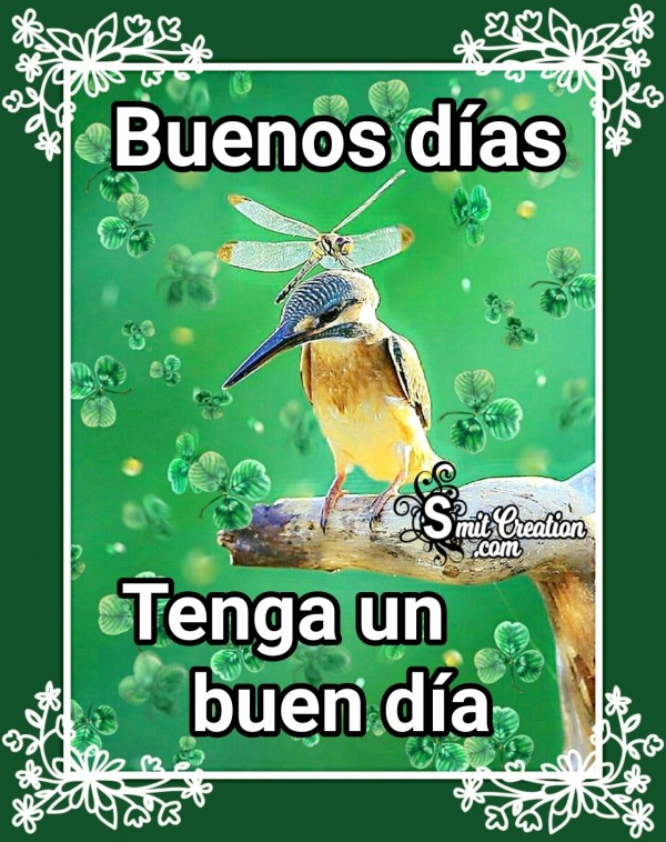 Buenos Dias Tenga Un Buen Dia Lindo Pajaro