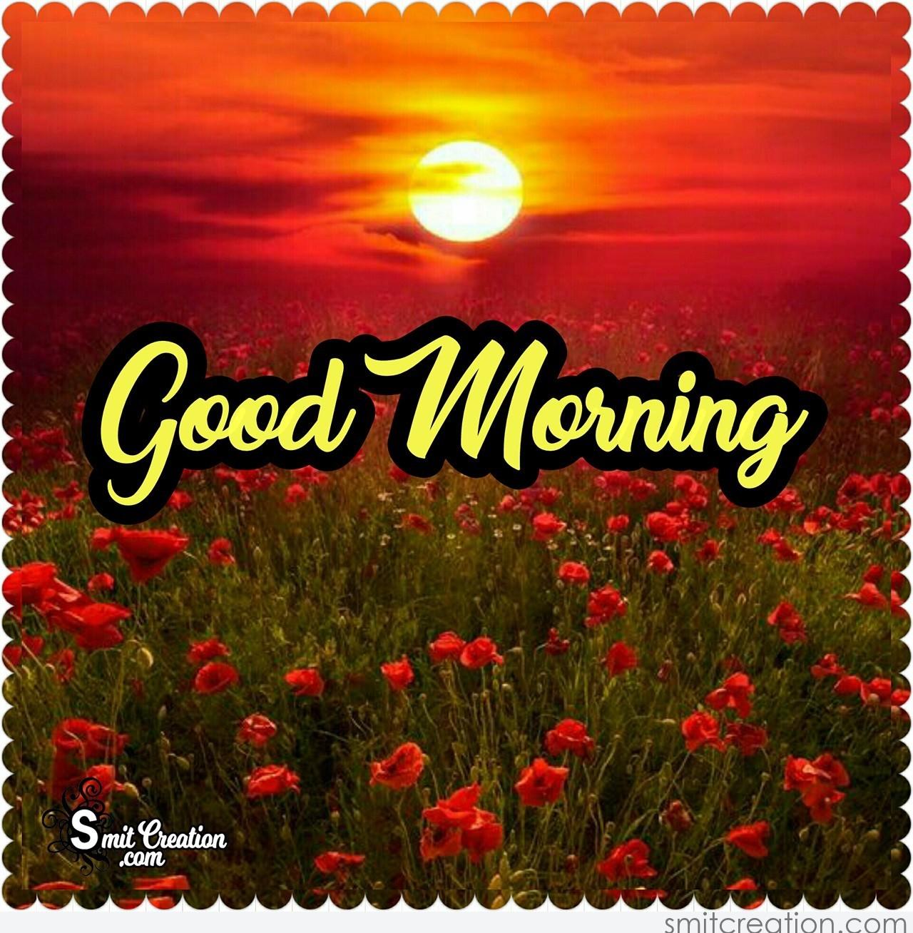 Good Morning Sunrise With Flowers - SmitCreation.com