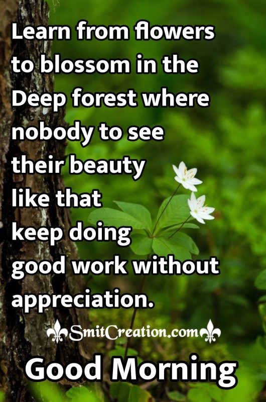 Good Morning – Learn From Flowers In Deep Forest