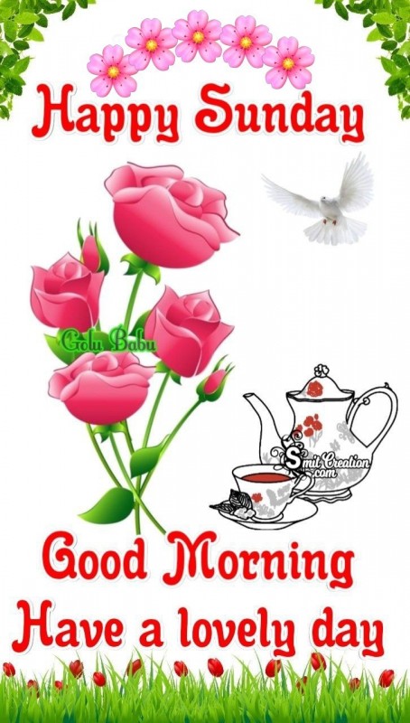 Happy Lovely Sunday
