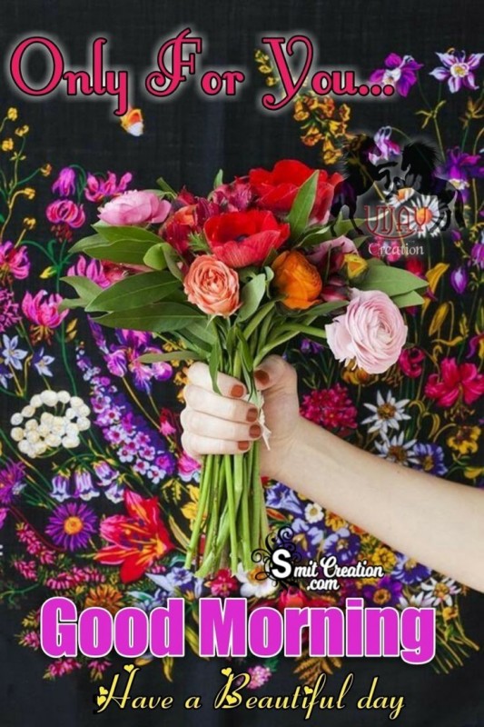Good Morning Only For You