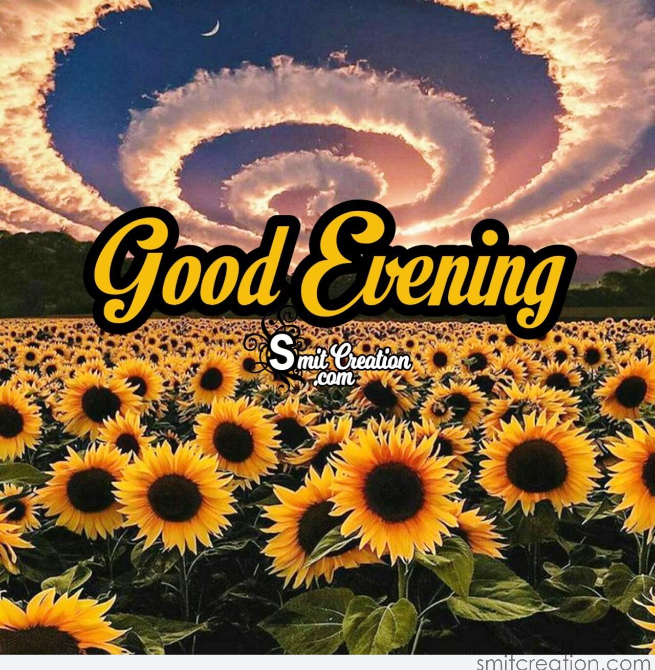 Good Evening Sunflower Pic - SmitCreation.com