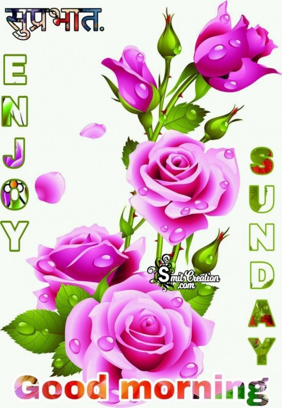 Good Morning Enjoy Sunday