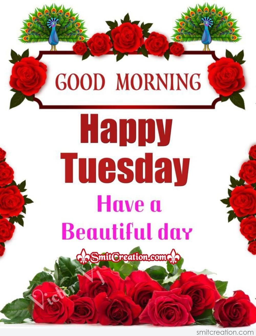 Good Morning Happy Tuesday - SmitCreation.com