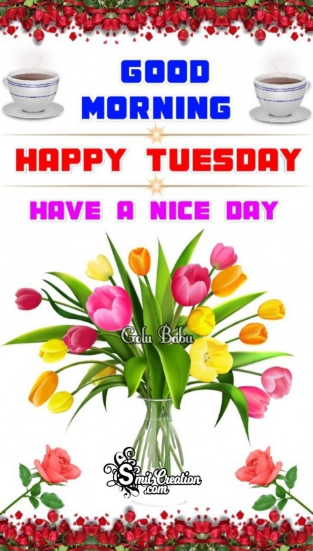 Happy Tuesday Good Morning