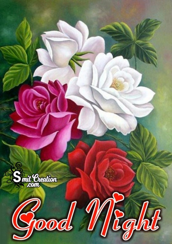 Good Night Roses