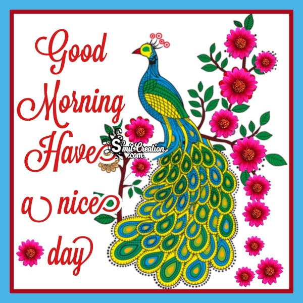 Good Morning Colourful Birds Pictures