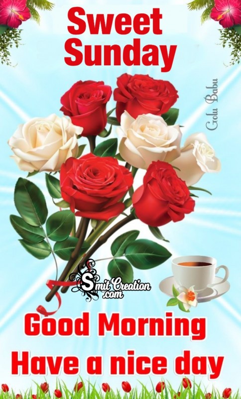 Good Morning Sweet Sunday Roses