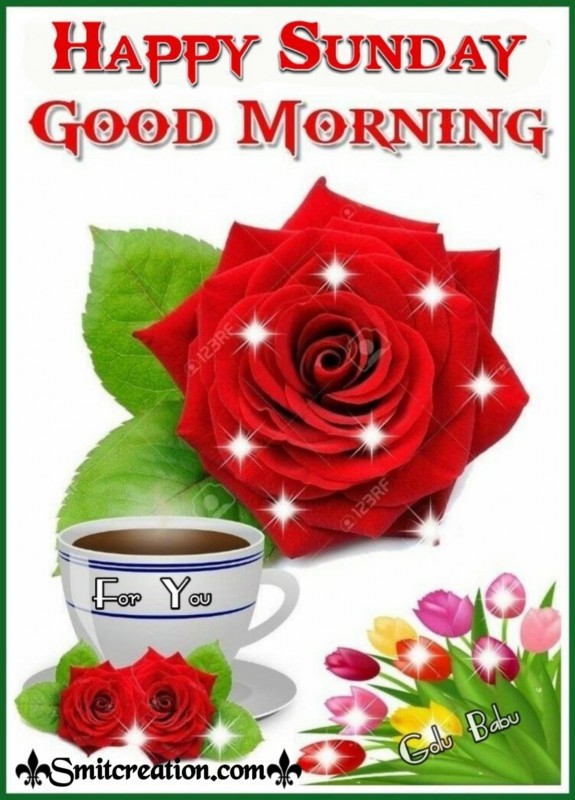 Happy Sunday Good Morning With Rose