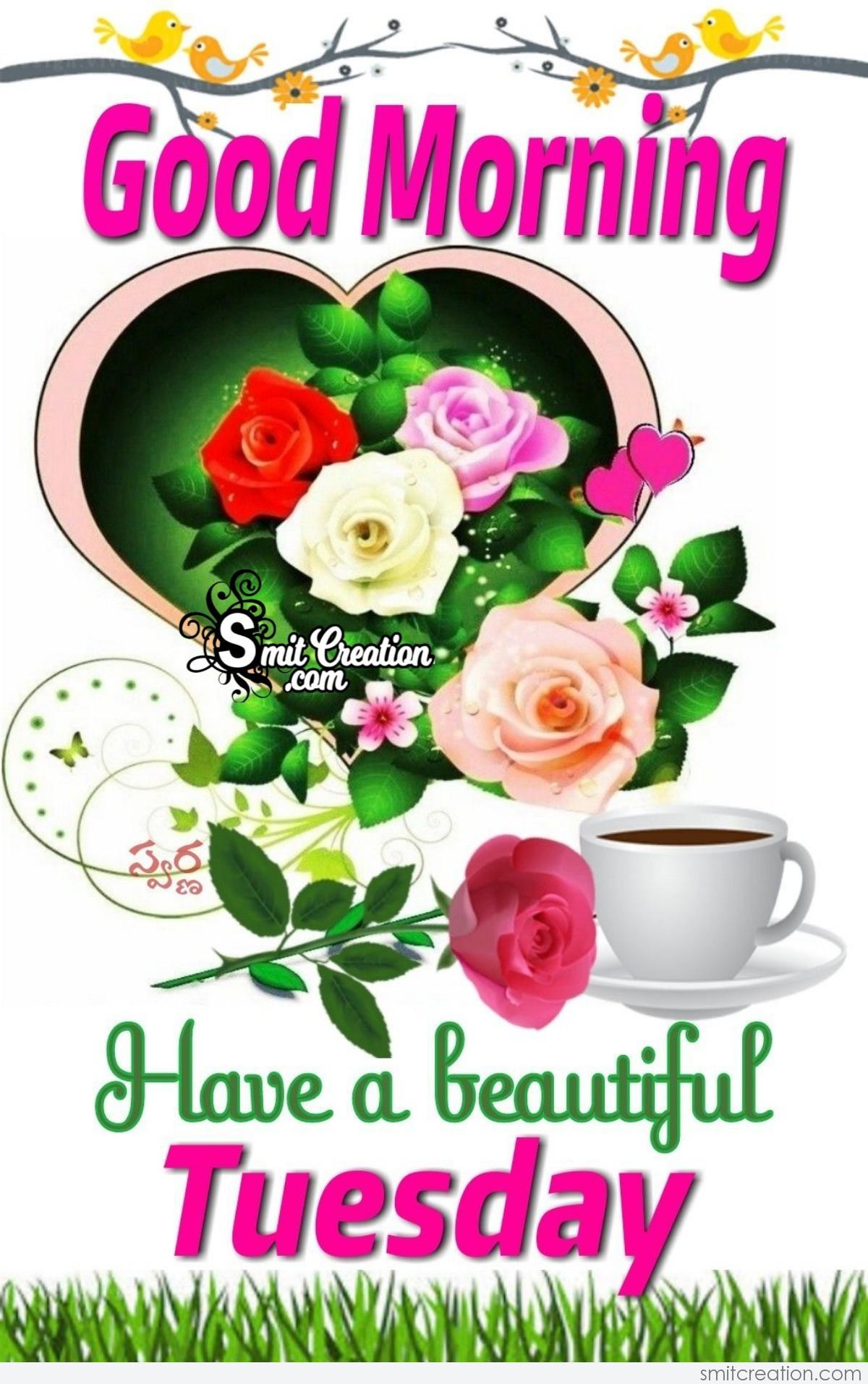 Good Morning Beautiful Tuesday - SmitCreation.com