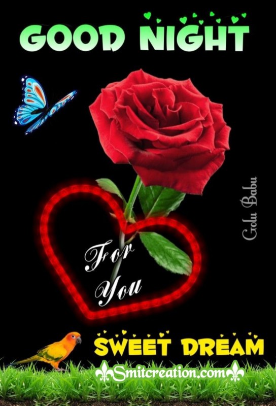 Good Night Rose For You