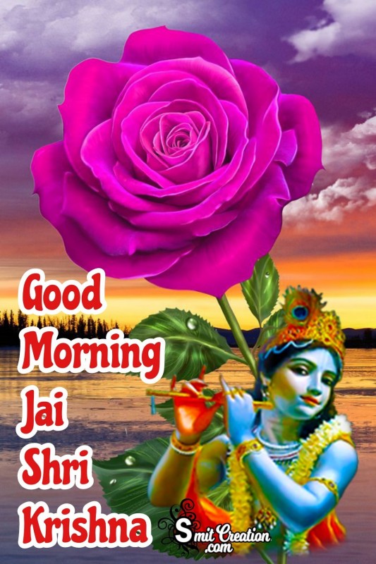 Good Morning Jai Shri Krishna With Pink Rose