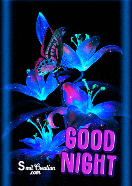 Good Night Butterfly Animated Gif Image