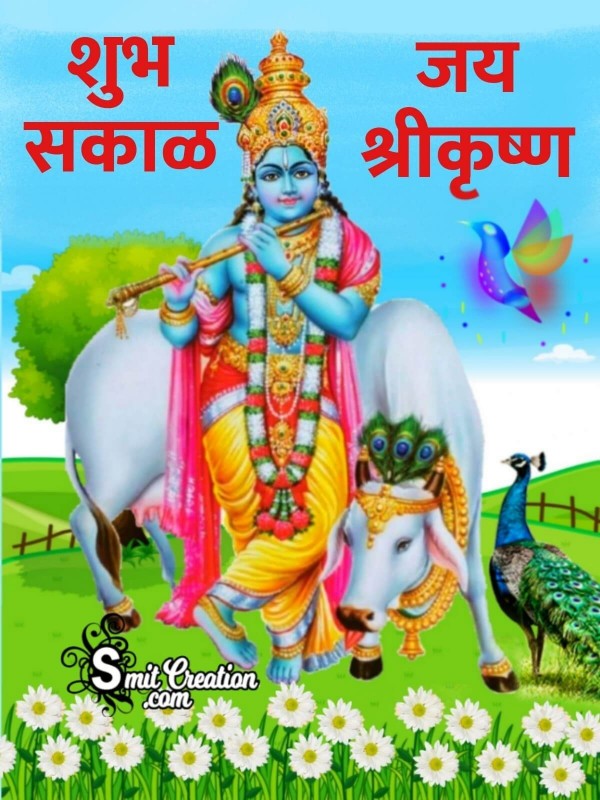 Shubh Sakal Krishna Image