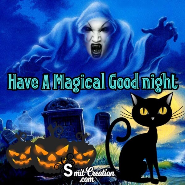 Have A Magical Good Night