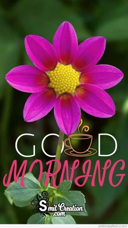 Good Morning Sweet Flower - SmitCreation.com