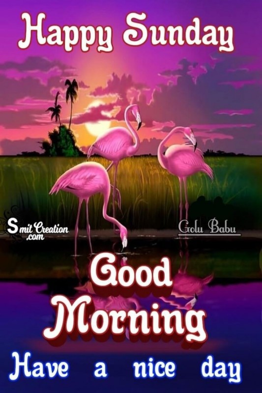 Happy Sunday Good Morning Nice Day
