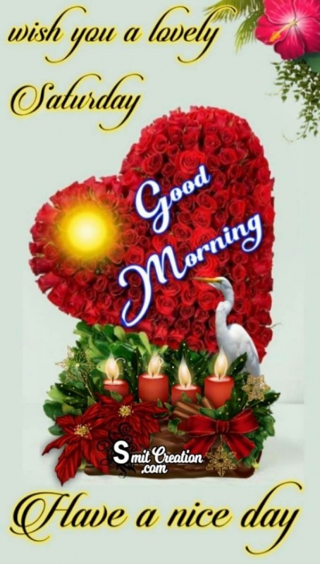 Good Morning Lovely Saturday