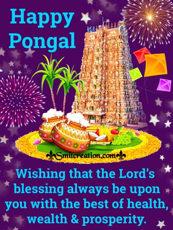 Happy Pongal Wishes Greeting Card