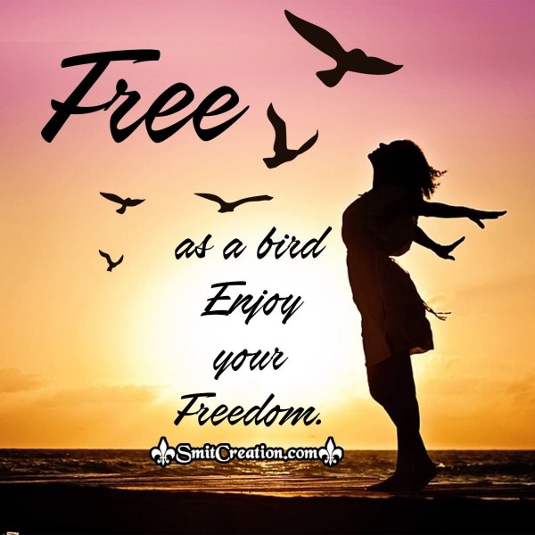 Free as a bird Enjoy your Freedom.