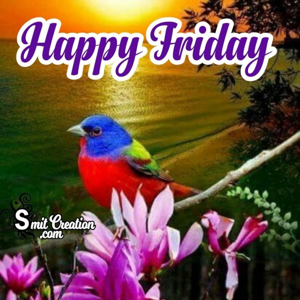 Happy Friday Sweet Bird Card