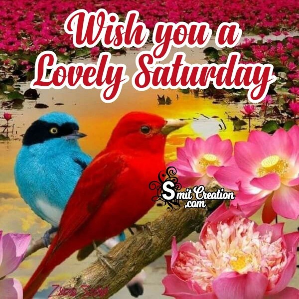 Wish You A Lovely Saturday