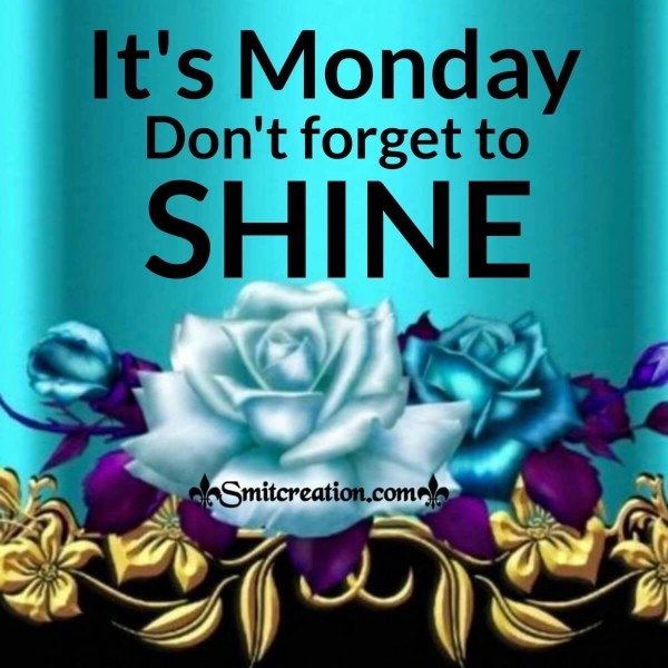 It's Monday, Don't Forget To Shine