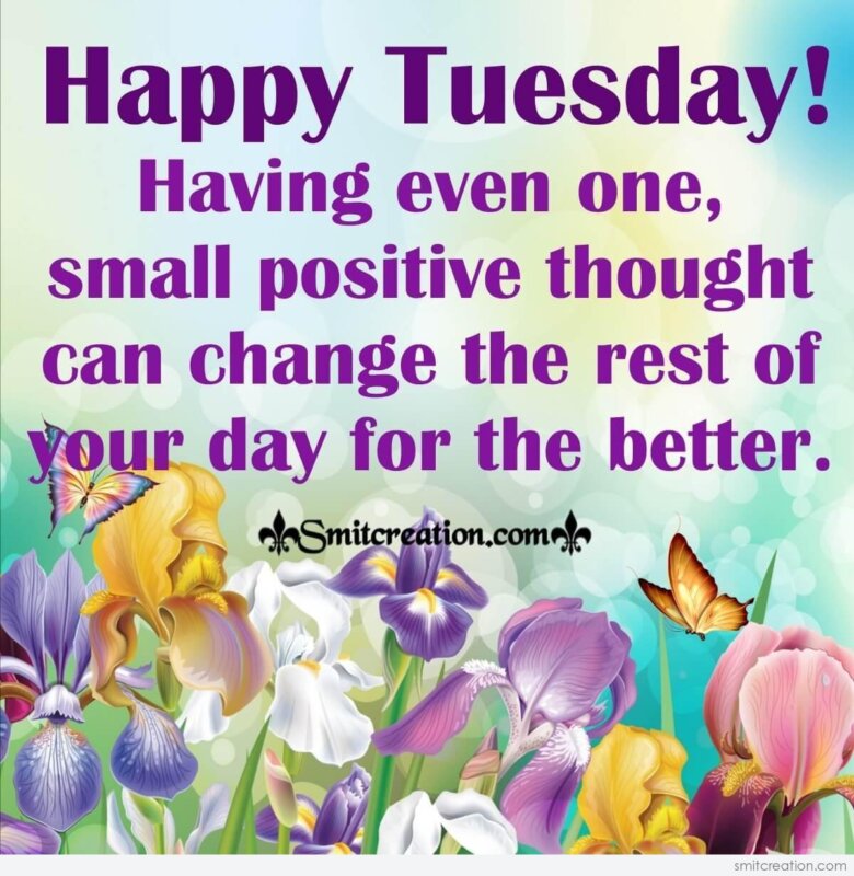 Happy Tuesday Small Positive Thought - SmitCreation.com