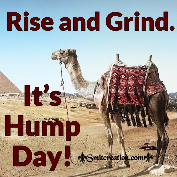 Rise And Grind It’s Hump Day!