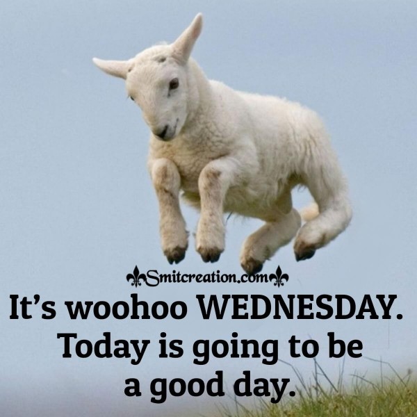 It’s Woohoo Wednesday